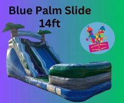 Blue Palm Slide 14ft